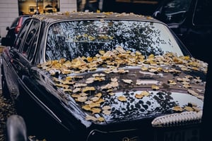 car outside covered in fallen leaves
