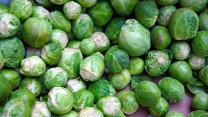 brussels-sprouts-5962168_640