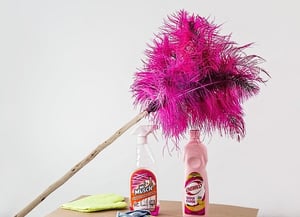 feather-duster-cleaning-supplies