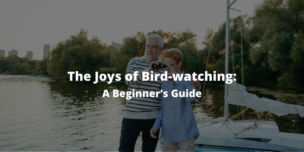 The Joys of Bird-watching: A Beginner’s Guide